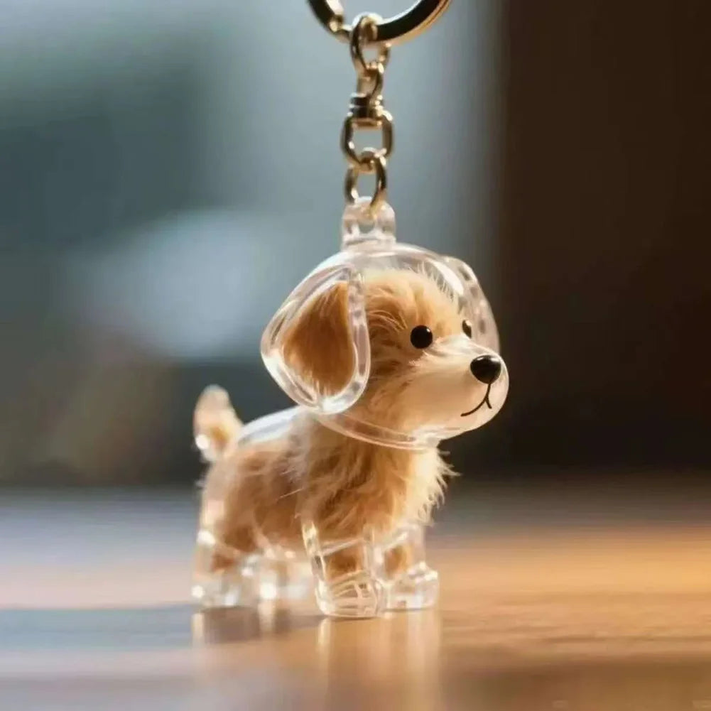 Cute Pet Memorial Healing Pendant Dog Hair Storage Box Transparent Pet Hair Keepsake Pendant Cat/Dog Lover Keyring Accessory