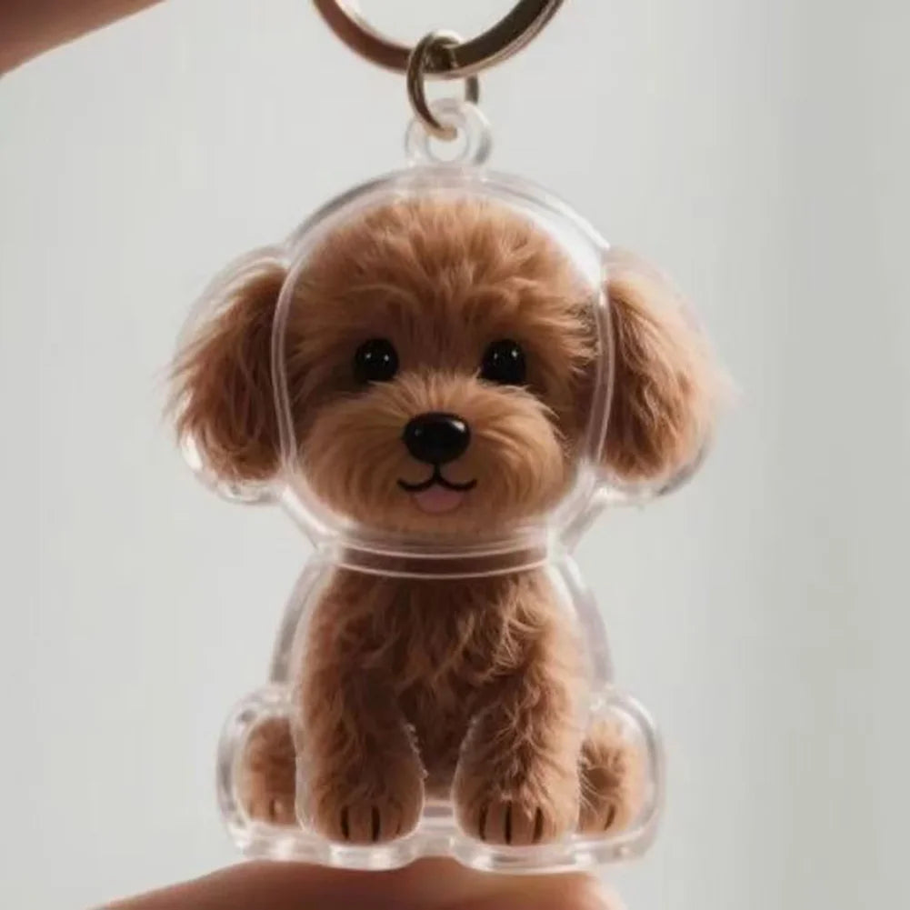 Cute Pet Memorial Healing Pendant Dog Hair Storage Box Transparent Pet Hair Keepsake Pendant Cat/Dog Lover Keyring Accessory