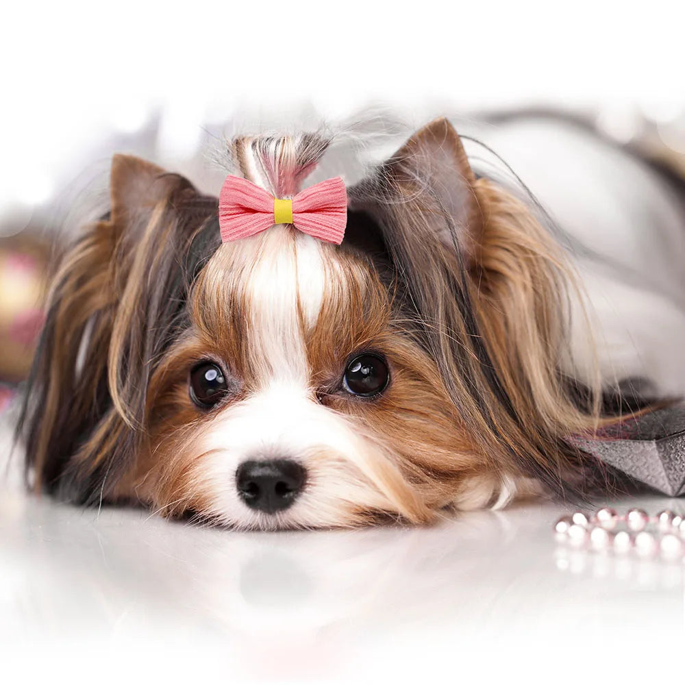 10pcs Pink Style Dog Bowknot Small Dog Hair Bows with Rubber Bands Cat Dog Hair Decorate Pet Grooming Accessories